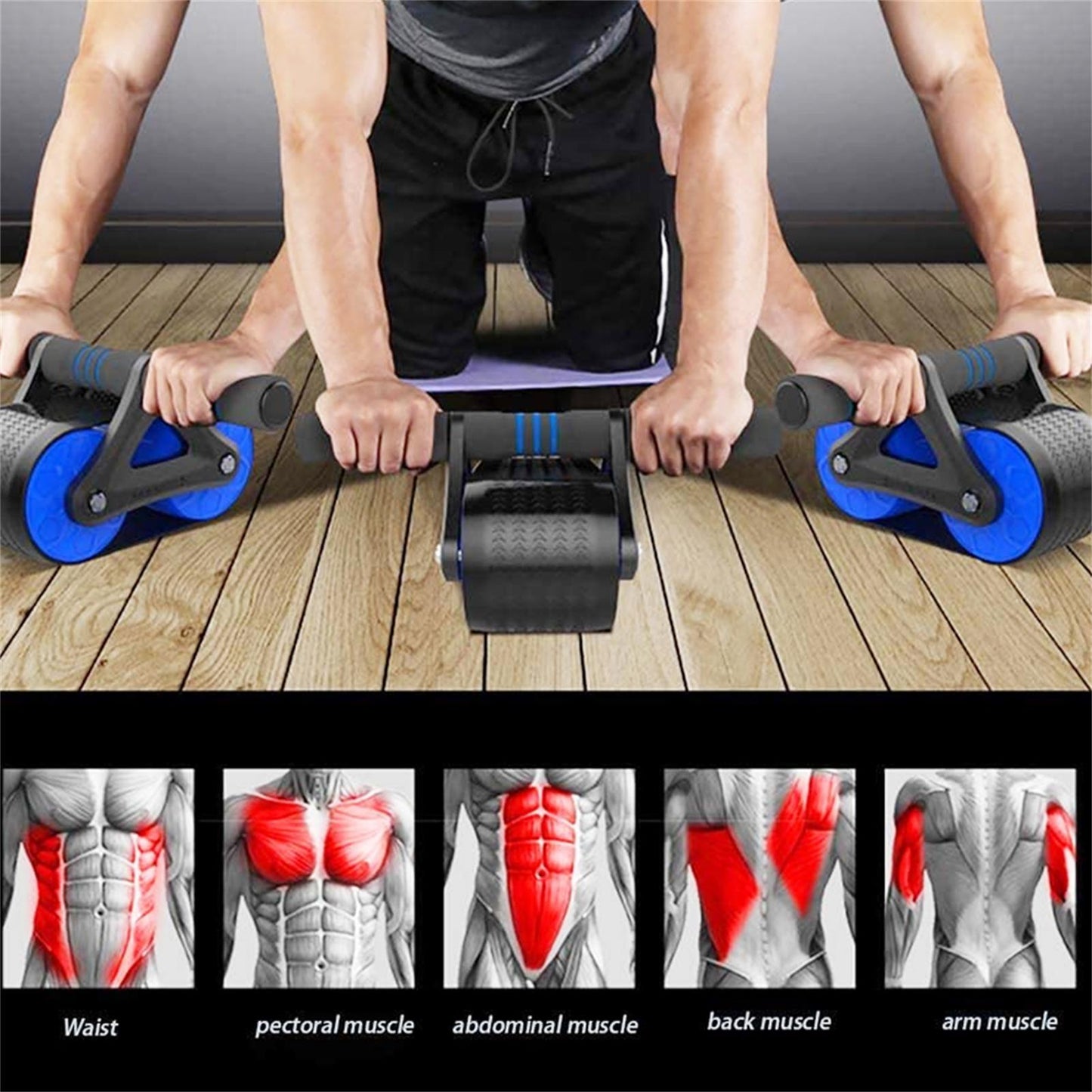 Springback Wheels Ab Roller – Silent Abdominal Exerciser for Core & Push-Up Training (Blue)